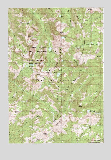 Purgatory Saddle, ID USGS Topographic Map