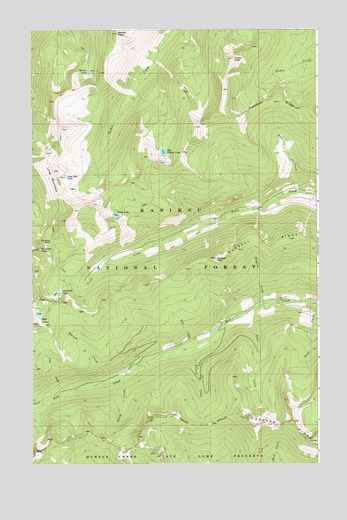 Pyramid Peak, ID USGS Topographic Map