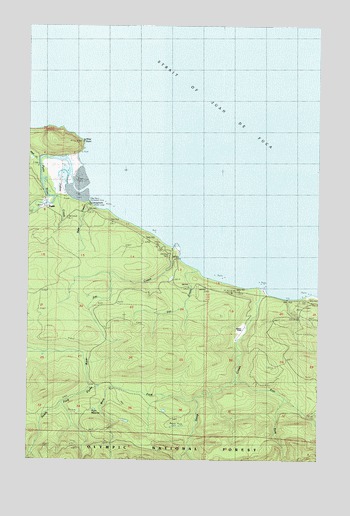 Pysht, WA USGS Topographic Map