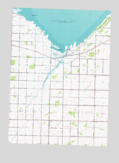 Quanicassee, MI USGS Topographic Map