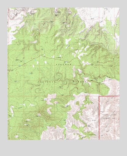 Queen, NM USGS Topographic Map
