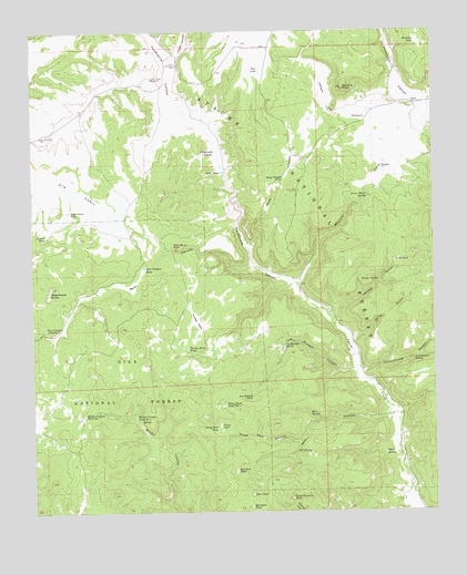 Queens Head, NM USGS Topographic Map