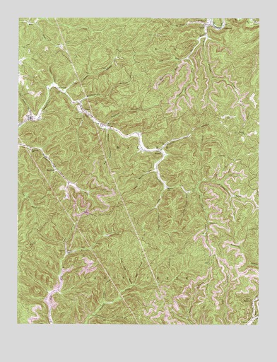 Quick, WV USGS Topographic Map