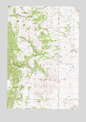Radersburg, MT USGS Topographic Map