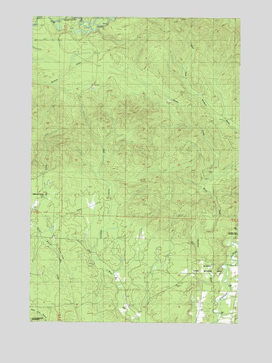 Railroad Camp, WA USGS Topographic Map