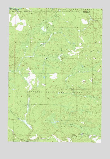 Ralph NW, MI USGS Topographic Map
