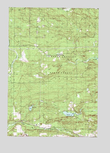Ralph SW, MI USGS Topographic Map