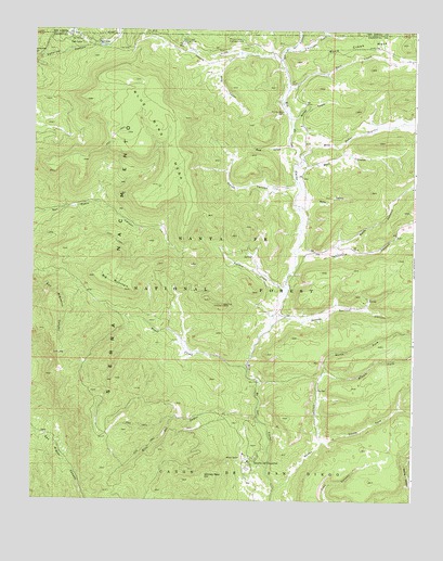Rancho del Chaparral, NM USGS Topographic Map