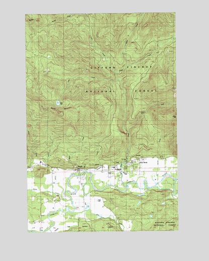 Randle, WA USGS Topographic Map