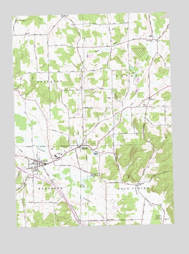 Randolph, NY USGS Topographic Map