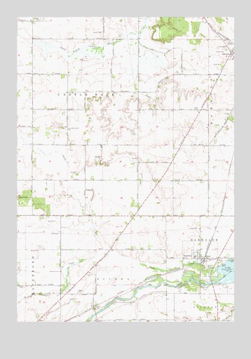 Randolph, MN USGS Topographic Map