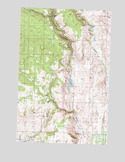 Rat Lake, WA USGS Topographic Map