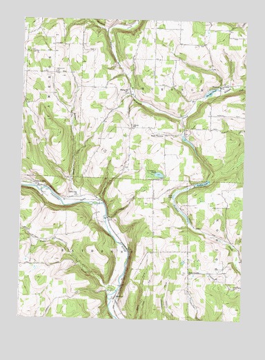 Rathbone, NY USGS Topographic Map