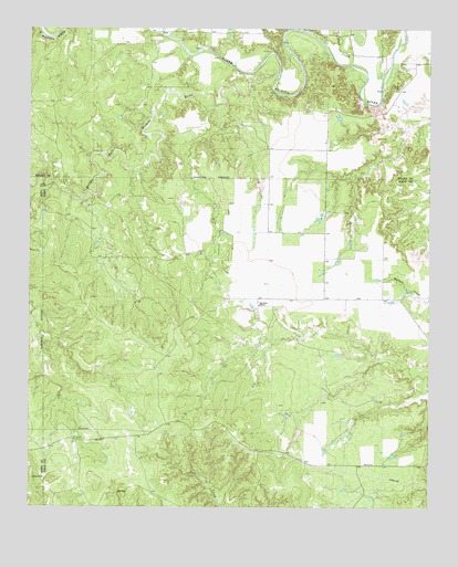 Big Four Ranch, TX USGS Topographic Map