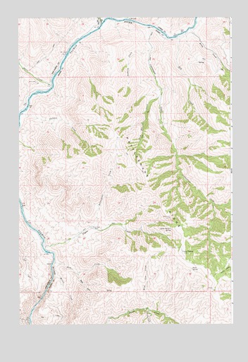 Rattlesnake Ridge, ID USGS Topographic Map