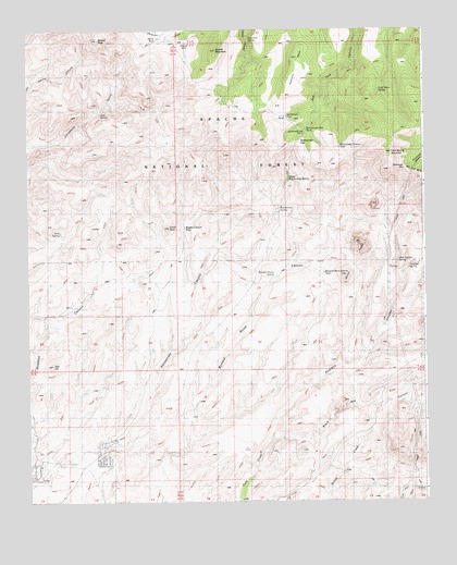 Rattlesnake Spring, AZ USGS Topographic Map