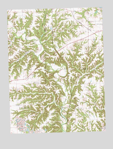 Ray, IL USGS Topographic Map