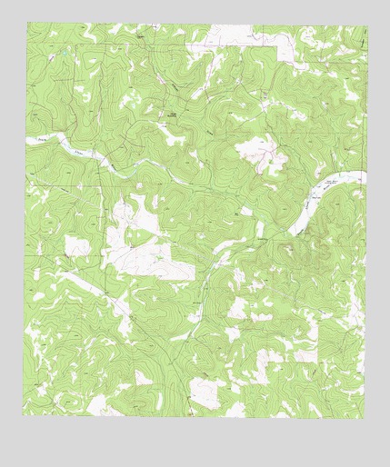 Ray Lake, TX USGS Topographic Map