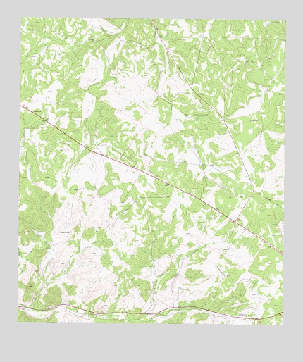 Ray Lake SE, TX USGS Topographic Map