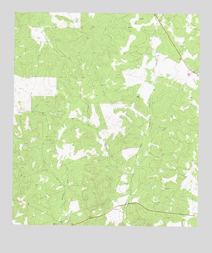 Ray Lake SW, TX USGS Topographic Map