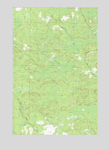 Ray SW, MN USGS Topographic Map