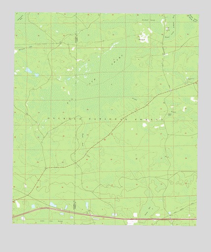 Big Gum Swamp, FL USGS Topographic Map
