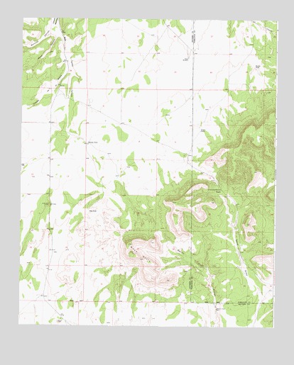 Rayo Hills, NM USGS Topographic Map