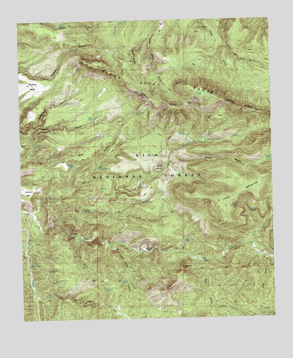 Reading Mountain, NM USGS Topographic Map