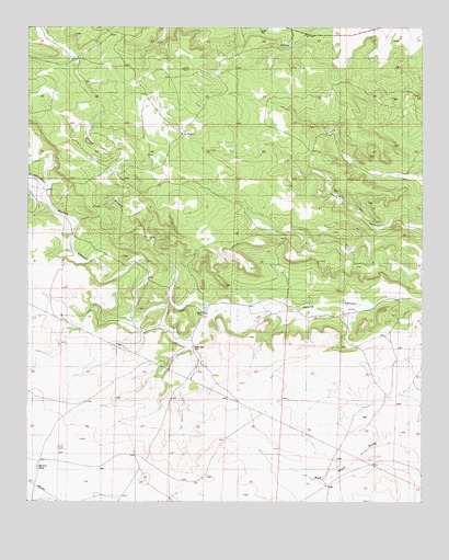 Red Bluff Draw West, NM USGS Topographic Map