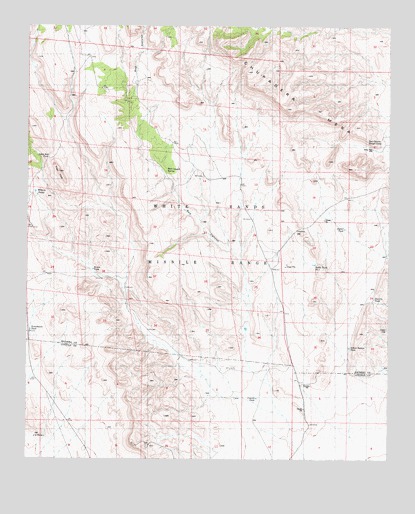 Red Canyon, NM USGS Topographic Map