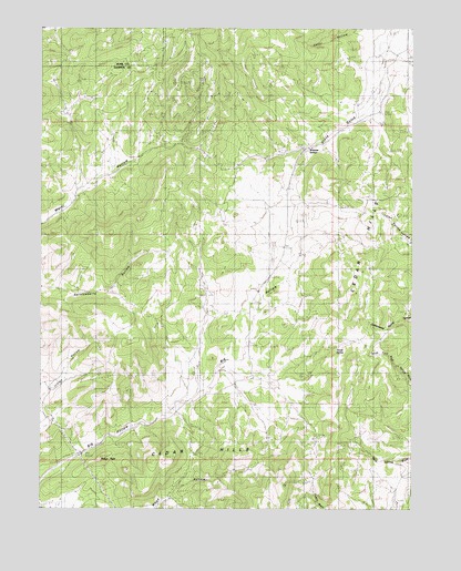 Big Hollow, UT USGS Topographic Map