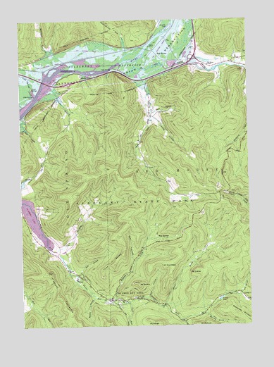 Red House, NY USGS Topographic Map