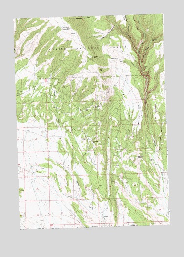 Red Pryor Mountain, MT USGS Topographic Map