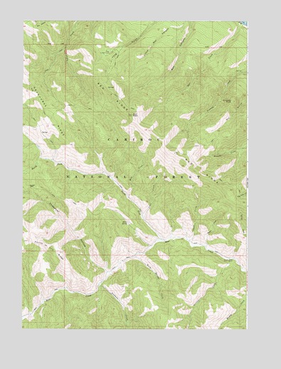 Red Ridge, ID USGS Topographic Map