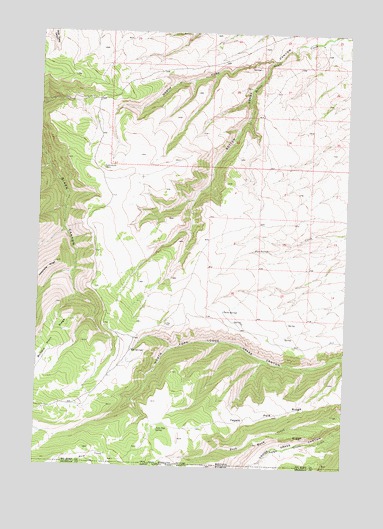 Red Springs, MT USGS Topographic Map