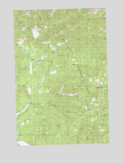 Red Top Mountain, WA USGS Topographic Map