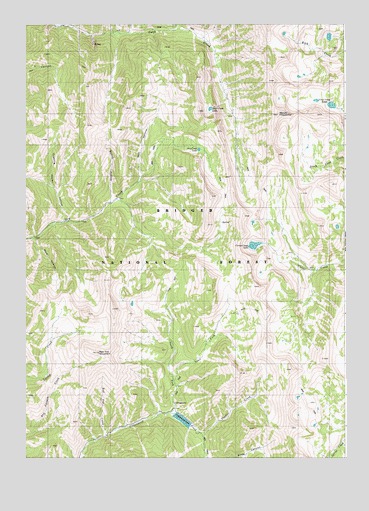 Red Top Mountain, WY USGS Topographic Map