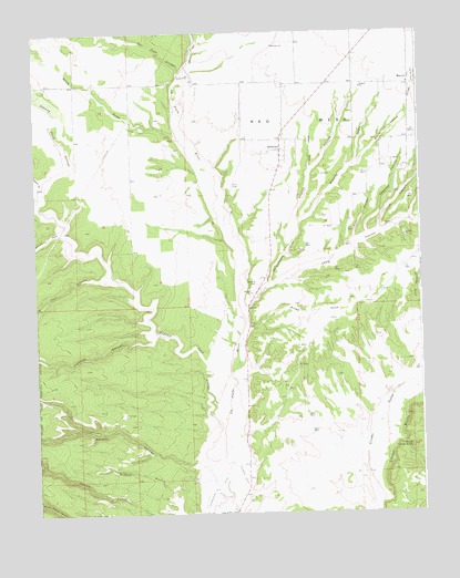 Redmesa, CO USGS Topographic Map