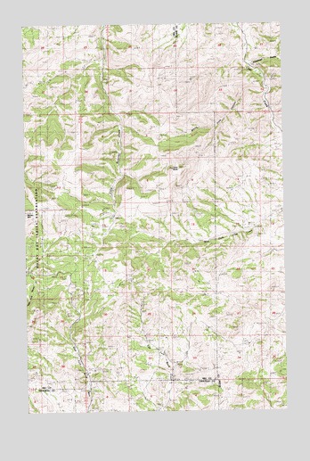 Big John Butte, MT USGS Topographic Map
