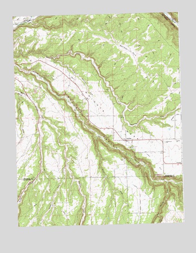 Redvale, CO USGS Topographic Map