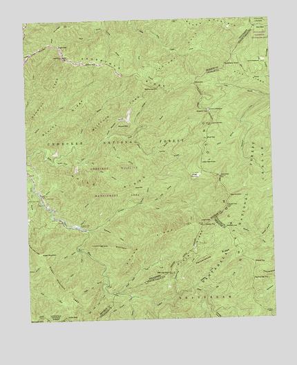 Big Junction, TN USGS Topographic Map