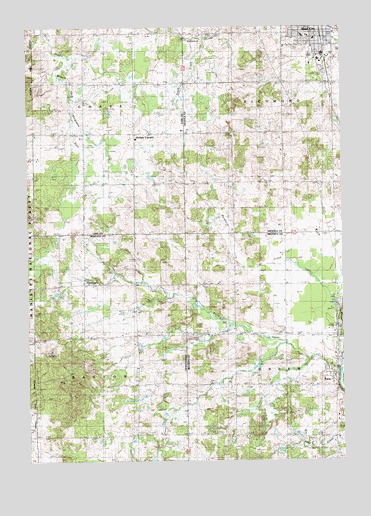 Reed City South, MI USGS Topographic Map