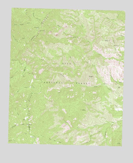 Reeds Peak, NM USGS Topographic Map