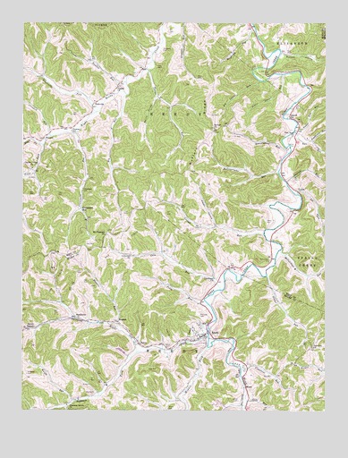 Reedy, WV USGS Topographic Map