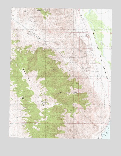 Reese River Canyon, NV USGS Topographic Map