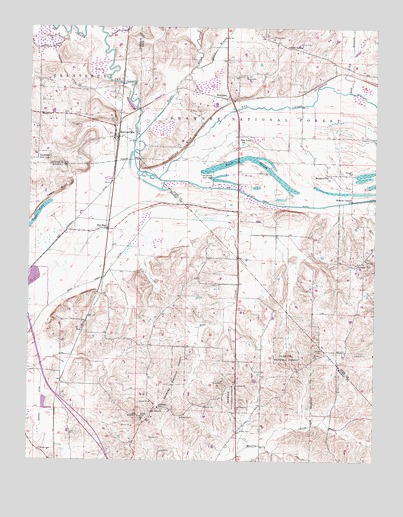 Reevesville, IL USGS Topographic Map
