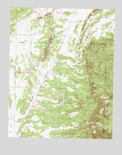 Regina, NM USGS Topographic Map