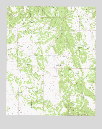 Rencona, NM USGS Topographic Map