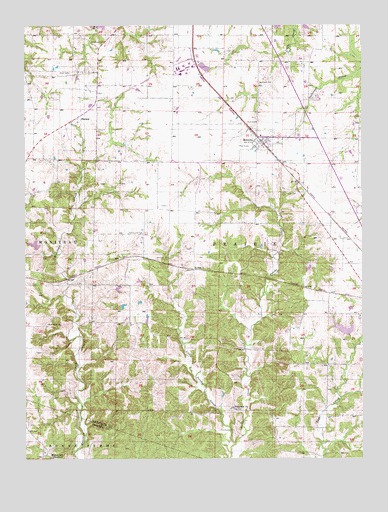 Renick, MO USGS Topographic Map