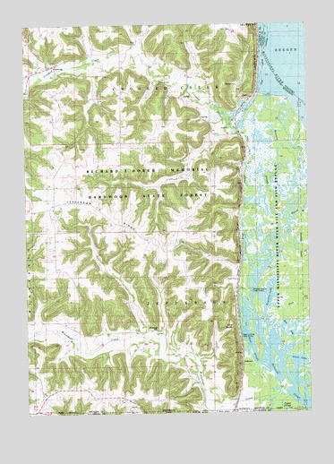 Reno, MN USGS Topographic Map